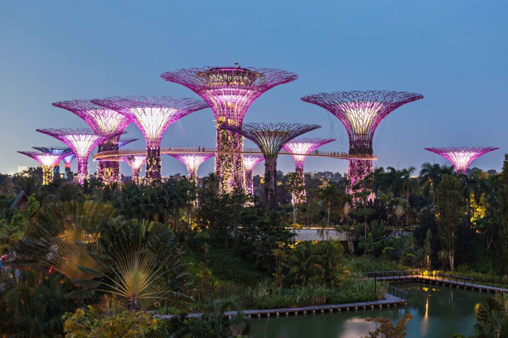 _Gardens by the Bay Singapore Supertree Grove lush greenery bright daylight cheerful mood