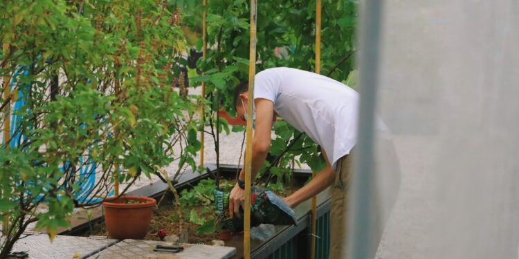 woman-tending-balcony-plants-singapore-unsplash - SINwebzine caring for native plants on Singapore balcony during the southwest monsoon season.