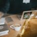 work-coffee-unsplash - SINwebzine A diaspora entrepreneur works at a centre cafe, illustrating the hustle of diaspora entrepreneurs building a businesses