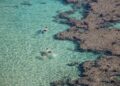 couple-snorkelling-clear-tropical-water-unsplash - SINwebzine A couple snorkelling in turquoise water during one of the most popular island escapes reachable from Singapore in late August