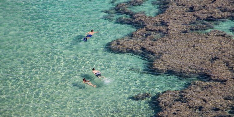 couple-snorkelling-clear-tropical-water-unsplash - SINwebzine A couple snorkelling in turquoise water during one of the most popular island escapes reachable from Singapore in late August
