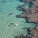 A couple snorkelling in turquoise water during one of the most popular island escapes reachable from Singapore in late August