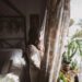 woman-choosing-curtains-unsplash - SINwebzine A woman selecting moisture-resistant materials for her Singapore flat, where home humidity shapes every interior design