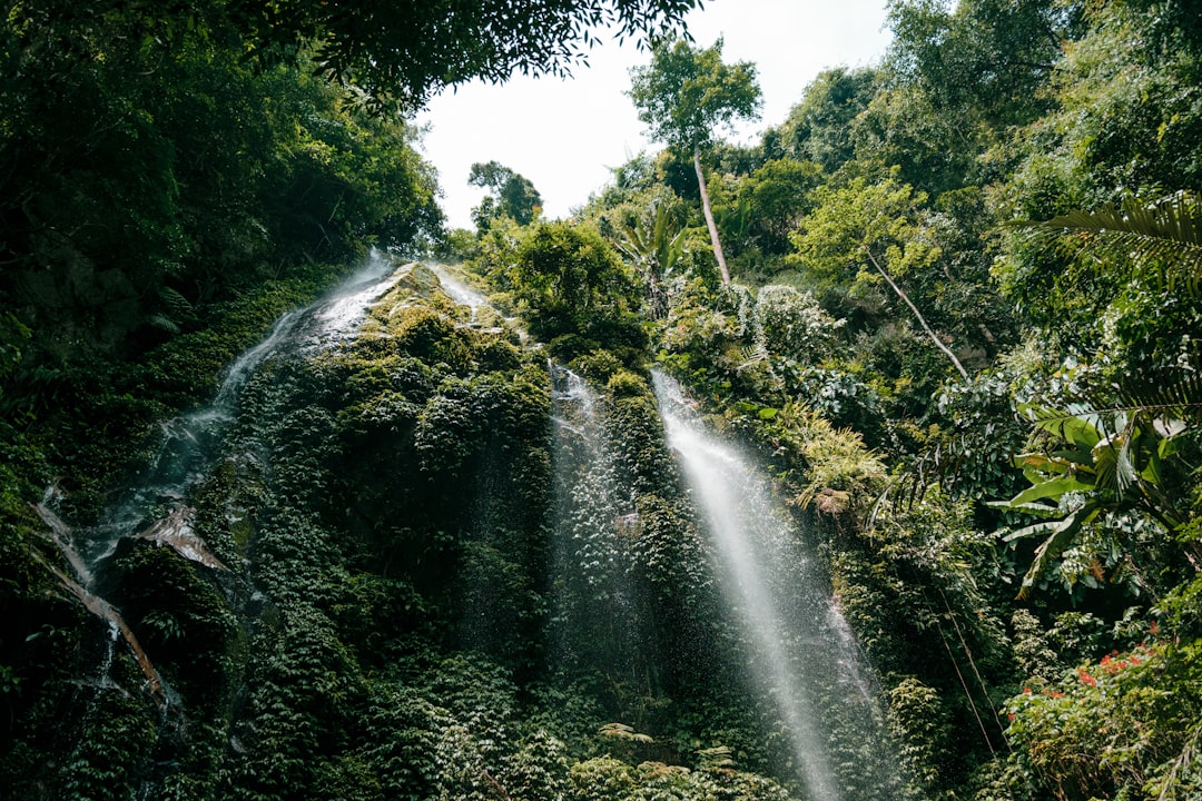 A family cooling off at a forest waterfall during a day trip from Singapore to Kota Tinggi